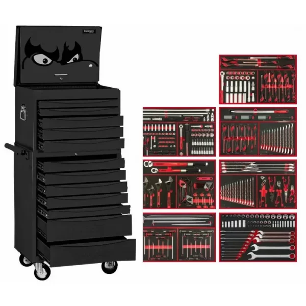 Teng Tools-365 Pc Mm/Af Eva Tool Kit 8 Series - Black-Tcm365Evanbk: 0