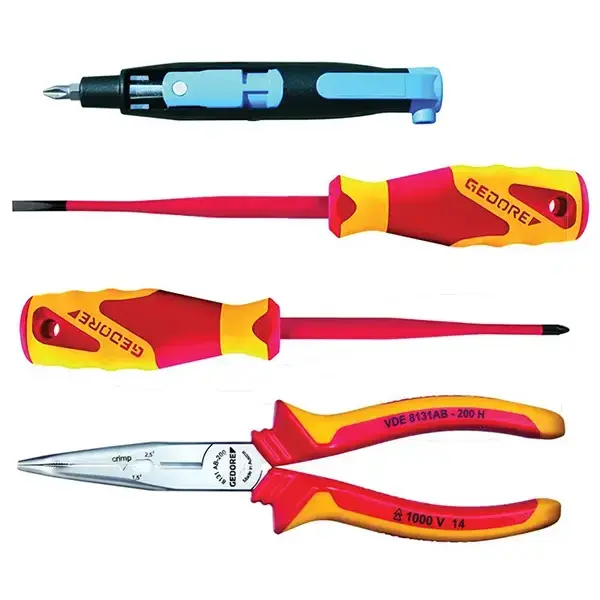 Gedore-For All Usual Electric Master Cabinets Incl. Multi Fitting Key