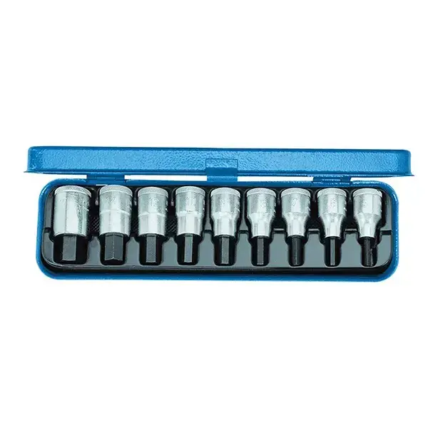 Gedore-For In-Hex Screws